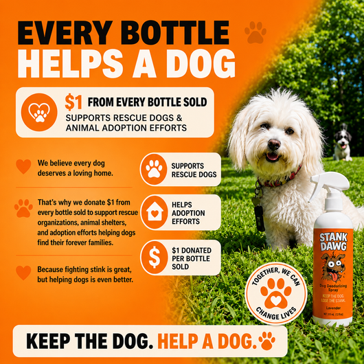 Stank Dawg - Deodorizing Spray