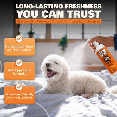 Dog lying on a bed with a person holding a spray bottle labeled 'Stank Dawg', featuring product benefits.