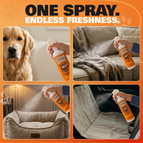 Stank Dawg - Deodorizing Spray